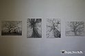 VBS_3898 - Paratissima 2021 - 17.ma Edizione